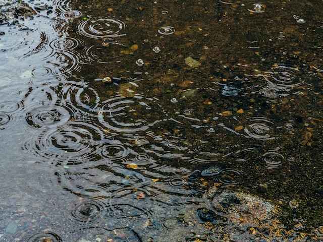 梅雨を快適に過ごす知恵！