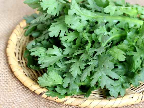 意外と知らなかった！春が旬の野菜