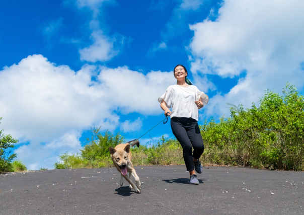 動物の精神科、ストレス診療科が開設