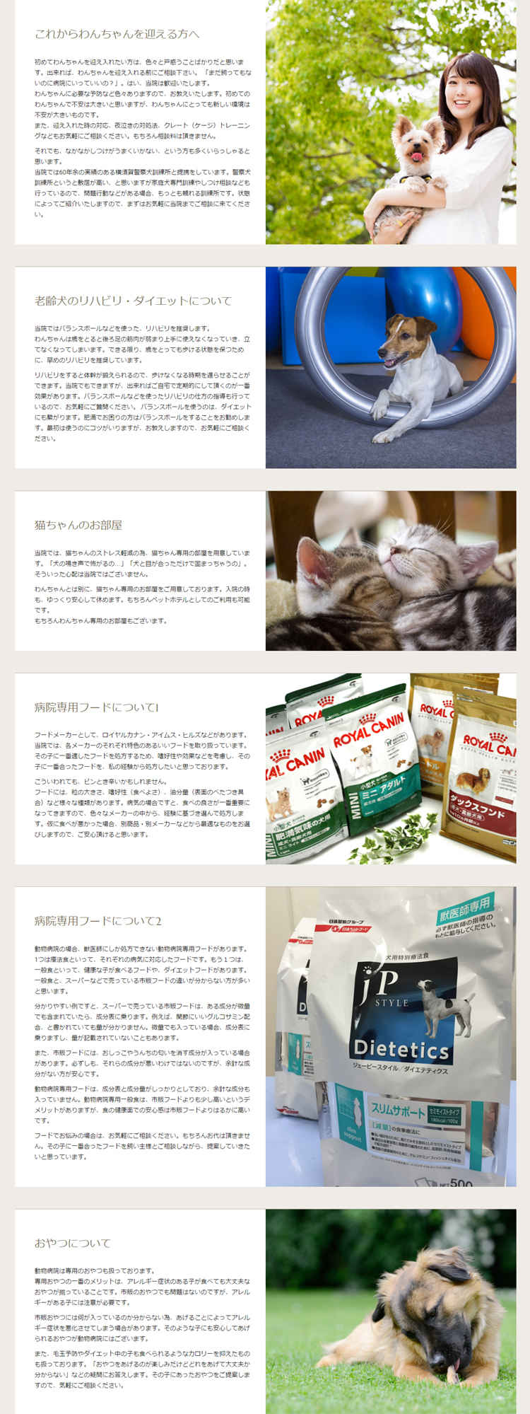 ゆみ動物病院のお知らせ内容