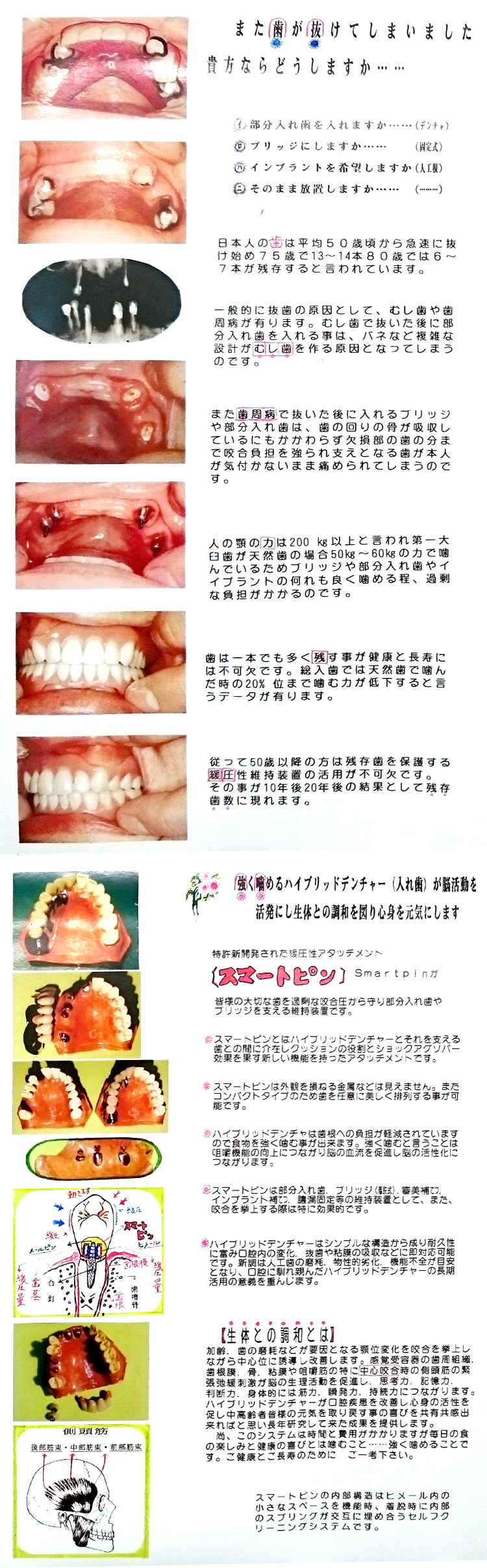 金子歯科医院のお知らせ内容