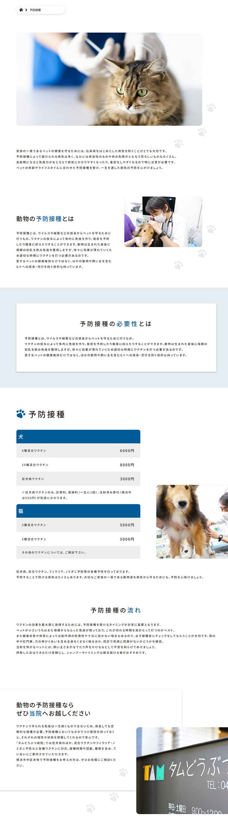 タムどうぶつ病院のお知らせ内容