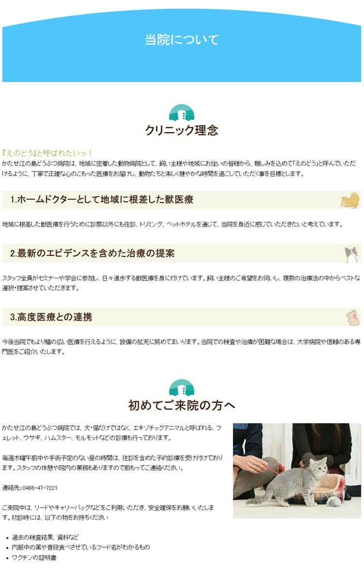 かたせ江の島どうぶつ病院のお知らせ内容