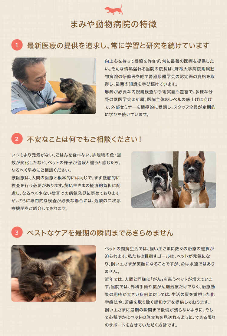 まみや動物病院のお知らせ内容