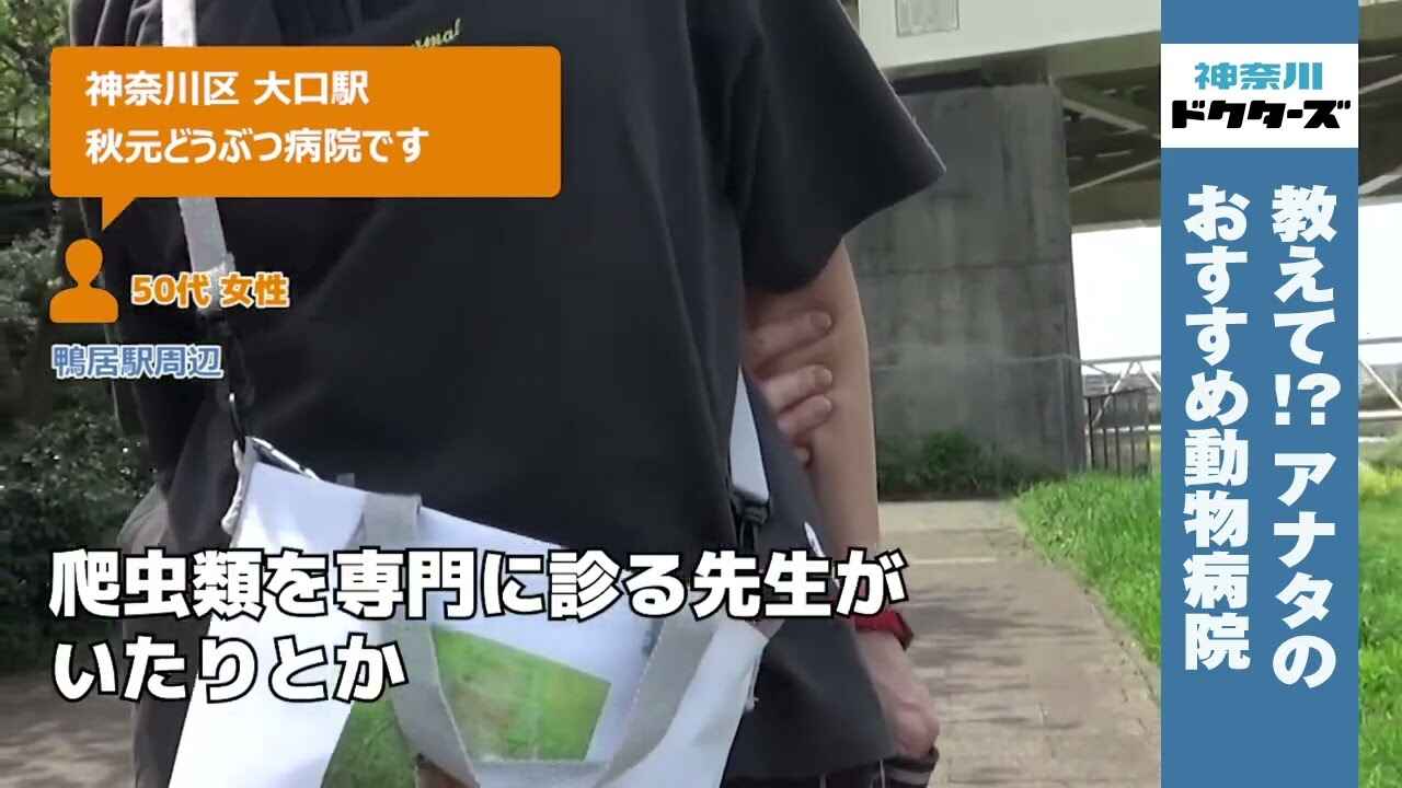 50代女性の声／不明／不明在住