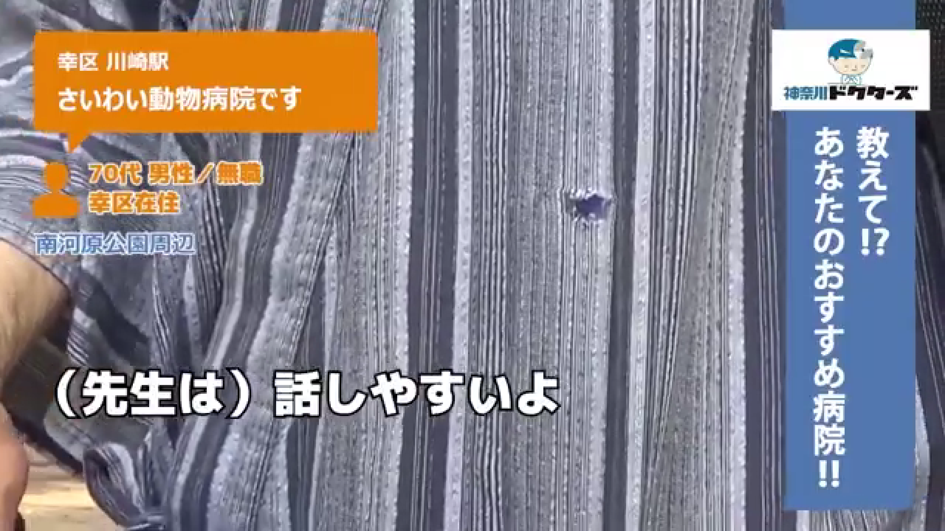 50代女性の声／無職／川崎区在住