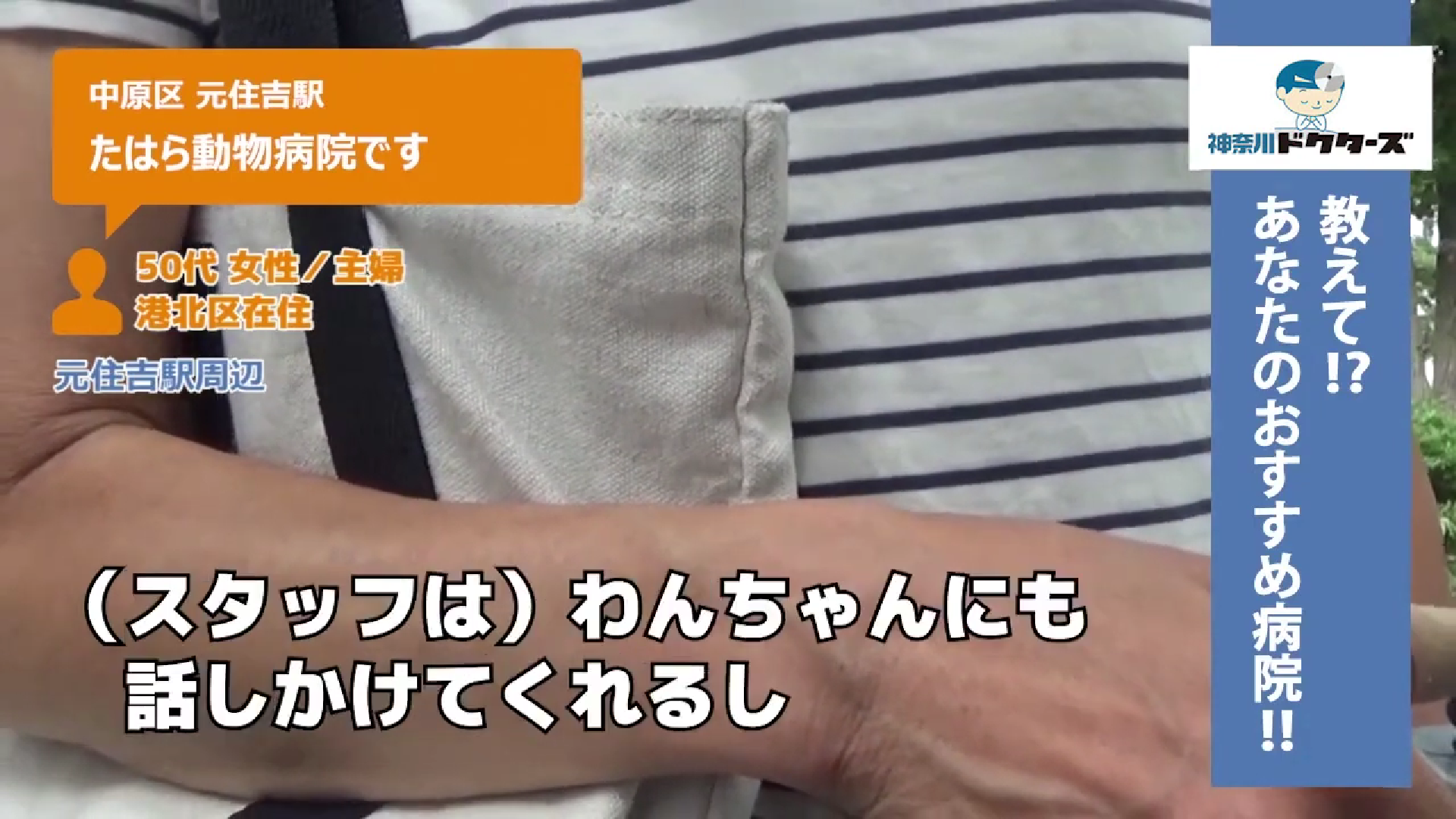 50代飼い主の声／専業主婦／港北区在住